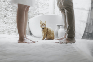 What Does the Family Mediation Process Entail